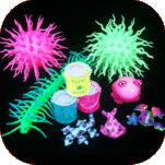 Kids Gifts